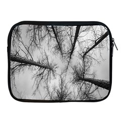 Trees Without Leaves Apple Ipad 2/3/4 Zipper Cases by Nexatart