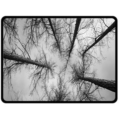 Trees Without Leaves Double Sided Fleece Blanket (large)  by Nexatart