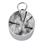 Trees Without Leaves Mini Silver Compasses Front