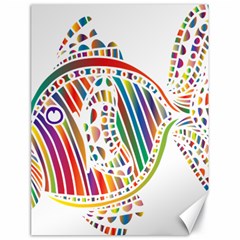 Colorful Fish Animals Rainbow Canvas 18  X 24   by Mariart