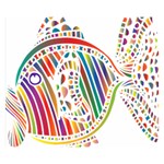 Colorful Fish Animals Rainbow Double Sided Flano Blanket (Small)  50 x40  Blanket Back