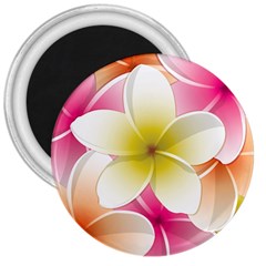 Frangipani Flower Floral White Pink Yellow 3  Magnets