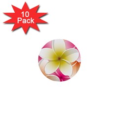 Frangipani Flower Floral White Pink Yellow 1  Mini Buttons (10 Pack) 