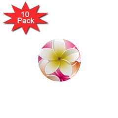 Frangipani Flower Floral White Pink Yellow 1  Mini Magnet (10 Pack)  by Mariart