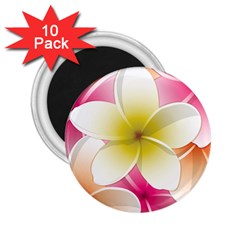 Frangipani Flower Floral White Pink Yellow 2 25  Magnets (10 Pack)  by Mariart