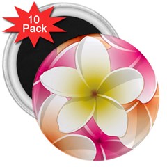 Frangipani Flower Floral White Pink Yellow 3  Magnets (10 Pack) 