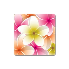 Frangipani Flower Floral White Pink Yellow Square Magnet by Mariart