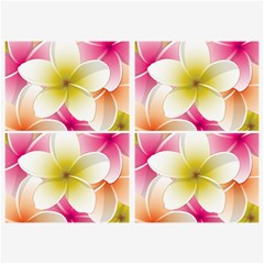 Frangipani Flower Floral White Pink Yellow Belt Buckles by Mariart