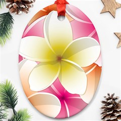 Frangipani Flower Floral White Pink Yellow Oval Ornament (two Sides)