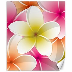 Frangipani Flower Floral White Pink Yellow Canvas 8  X 10  by Mariart