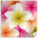 Frangipani Flower Floral White Pink Yellow Canvas 16  x 16   15.2 x15.41  Canvas - 1