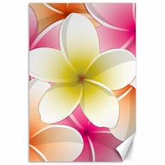 Frangipani Flower Floral White Pink Yellow Canvas 24  X 36  by Mariart