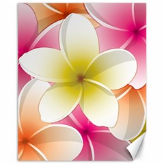 Frangipani Flower Floral White Pink Yellow Canvas 11  X 14   by Mariart