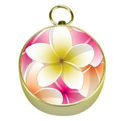 Frangipani Flower Floral White Pink Yellow Gold Compasses by Mariart