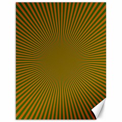 Stripy Starburst Effect Light Orange Green Line Canvas 12  X 16   by Mariart