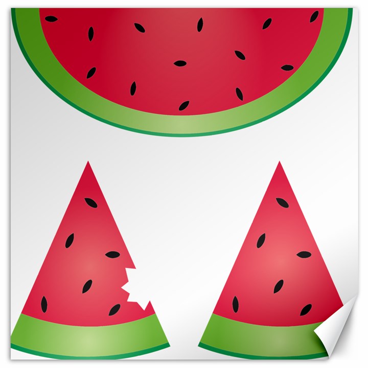 Watermelon Slice Red Green Fruite Canvas 20  x 20  