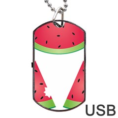 Watermelon Slice Red Green Fruite Dog Tag Usb Flash (two Sides) by Mariart