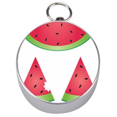 Watermelon Slice Red Green Fruite Silver Compasses by Mariart