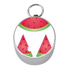 Watermelon Slice Red Green Fruite Mini Silver Compasses by Mariart