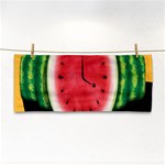 Watermelon Slice Red Orange Green Black Fruite Time Cosmetic Storage Cases Front