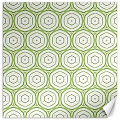 Wood Star Green Circle Canvas 12  X 12   by Mariart