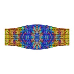 A Creative Colorful Backgroun Stretchable Headband