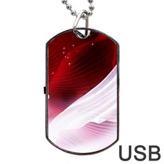 Dreamworld Studio 2d Illustration Of Beautiful Studio Setting Dog Tag Usb Flash (one Side) by Nexatart