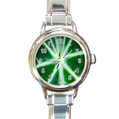 Green Leaf Macro Detail Round Italian Charm Watch by Nexatart