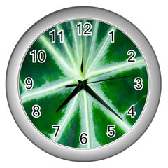 Green Leaf Macro Detail Wall Clocks (silver) 