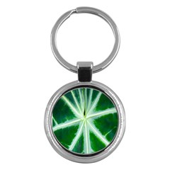 Green Leaf Macro Detail Key Chains (round)  by Nexatart