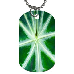 Green Leaf Macro Detail Dog Tag (one Side) by Nexatart