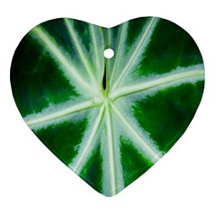 Green Leaf Macro Detail Heart Ornament (two Sides) by Nexatart