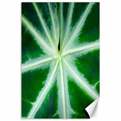 Green Leaf Macro Detail Canvas 24  X 36  by Nexatart