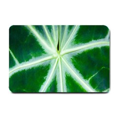 Green Leaf Macro Detail Small Doormat  by Nexatart