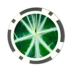 Green Leaf Macro Detail Poker Chip Card Guard by Nexatart