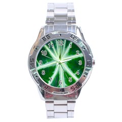 Green Leaf Macro Detail Stainless Steel Analogue Watch by Nexatart