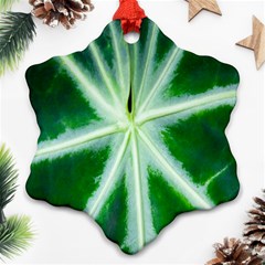 Green Leaf Macro Detail Ornament (snowflake)