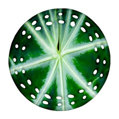 Green Leaf Macro Detail Round Filigree Ornament (two Sides) by Nexatart