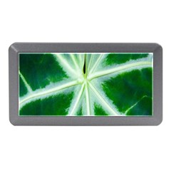 Green Leaf Macro Detail Memory Card Reader (mini) by Nexatart