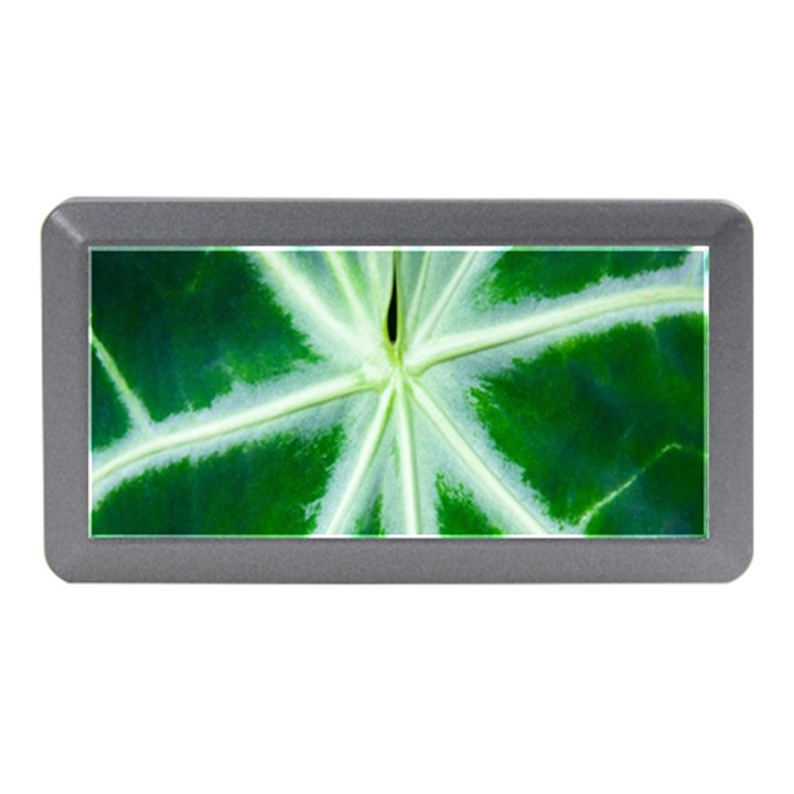 Green Leaf Macro Detail Memory Card Reader (Mini)