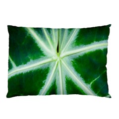 Green Leaf Macro Detail Pillow Case (two Sides) by Nexatart