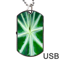 Green Leaf Macro Detail Dog Tag Usb Flash (two Sides) by Nexatart