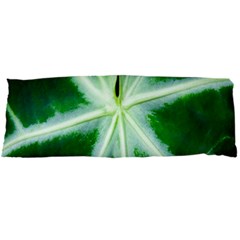 Green Leaf Macro Detail Body Pillow Case Dakimakura (two Sides) by Nexatart