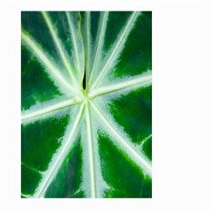 Green Leaf Macro Detail Large Garden Flag (two Sides) by Nexatart