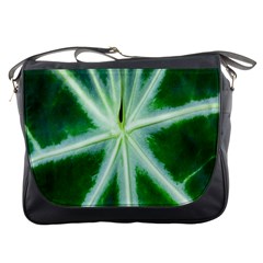 Green Leaf Macro Detail Messenger Bags by Nexatart