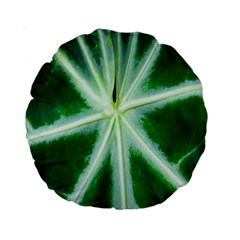 Green Leaf Macro Detail Standard 15  Premium Round Cushions by Nexatart