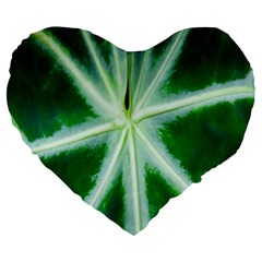 Green Leaf Macro Detail Large 19  Premium Heart Shape Cushions by Nexatart