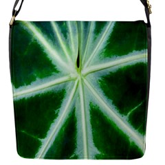 Green Leaf Macro Detail Flap Messenger Bag (s) by Nexatart