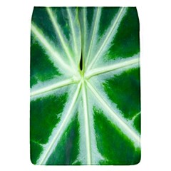 Green Leaf Macro Detail Flap Covers (s)  by Nexatart