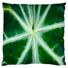 Green Leaf Macro Detail Large Flano Cushion Case (one Side) by Nexatart